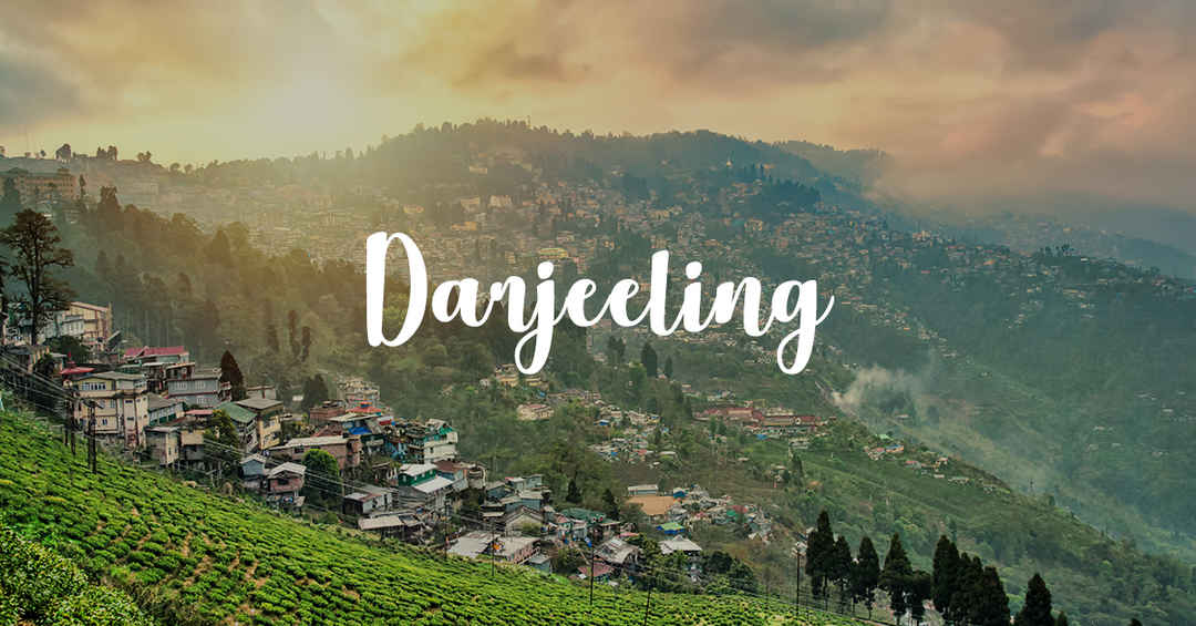 DARJEELING GANGTOK ECONOMY